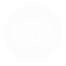 social-media-icon